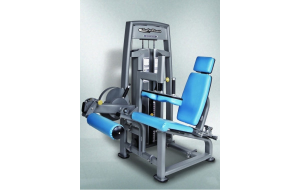 Сгибания ног BenCarFitness TS-P043 600_380