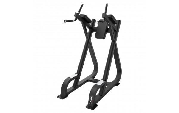 Поднятие коленей\брусья Smith Fitness SR007 600_380