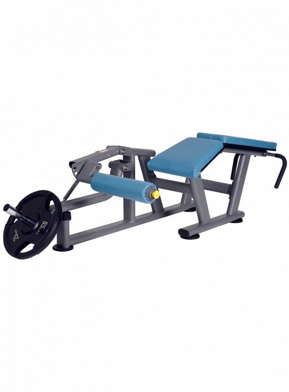 Сгибания ног лежа BenCarFitness TS-P012 589_800