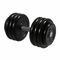 Гантель Профи с вращающейся ручкой, 36 кг MB Barbell MB-FdbM-B36 120_120